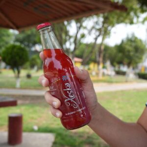 Xesko Arándano Maracuyá - 1 Pza - 330 ml