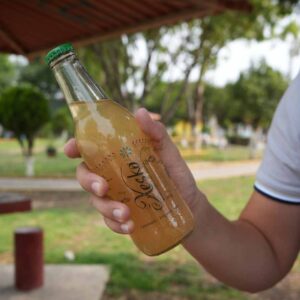 Xesko Limonada con Jengibre - 1 Pza - 330 ml